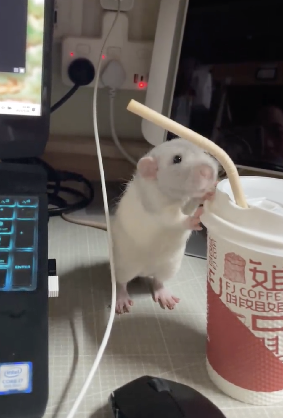 奴才：偷喝還講禮貌喔