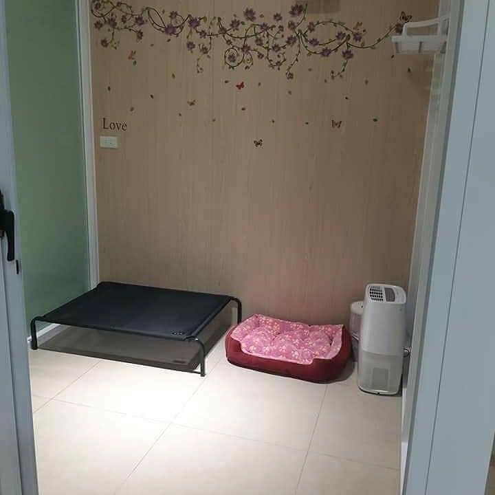 每個包廂設有空氣清新系統。