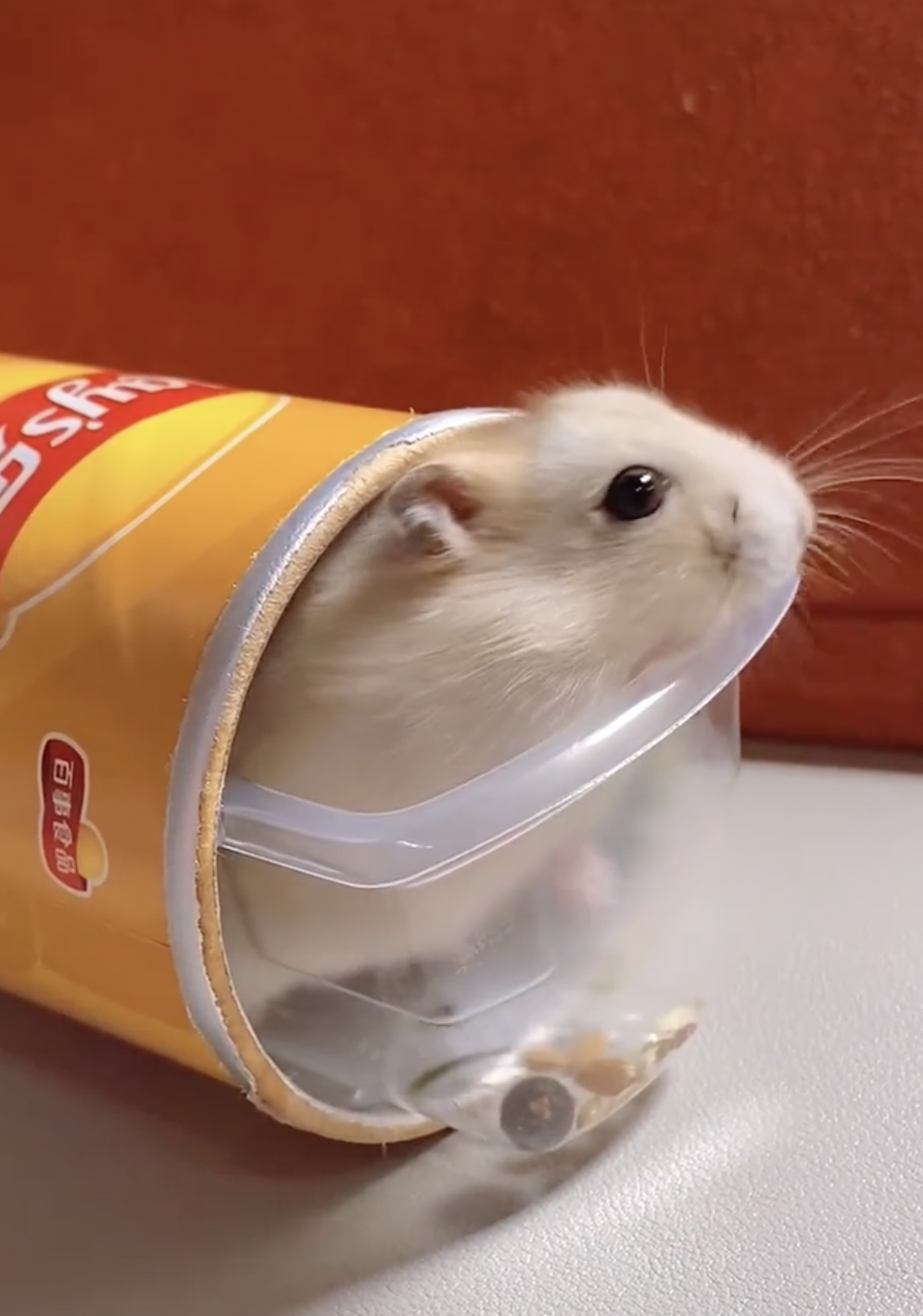 奴才：怎麼能說是故意呢