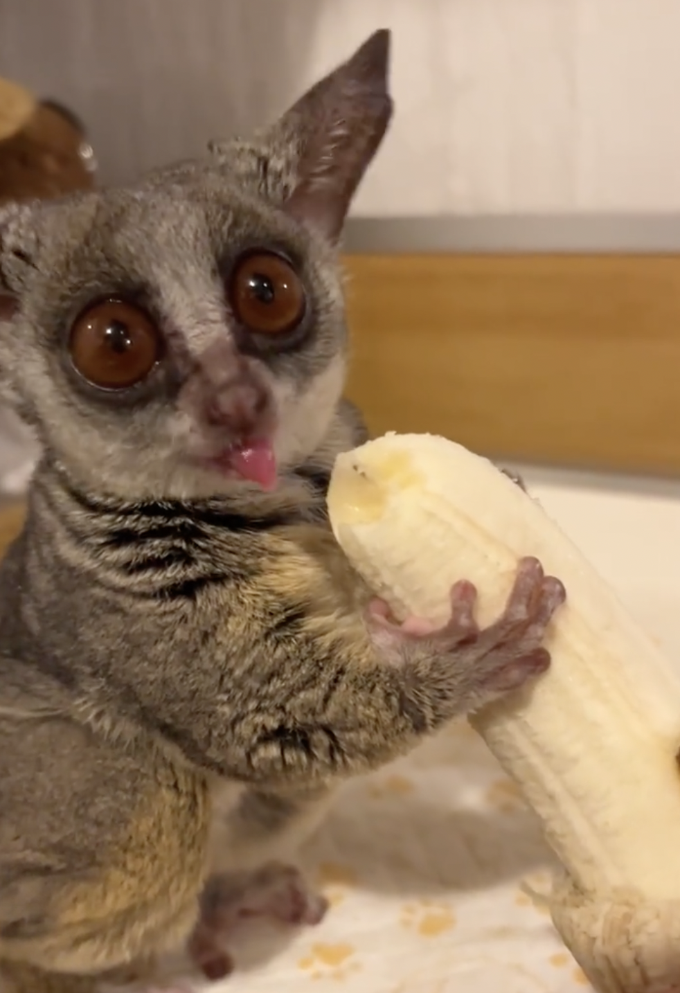 奴才：一條也吃得完嗎？