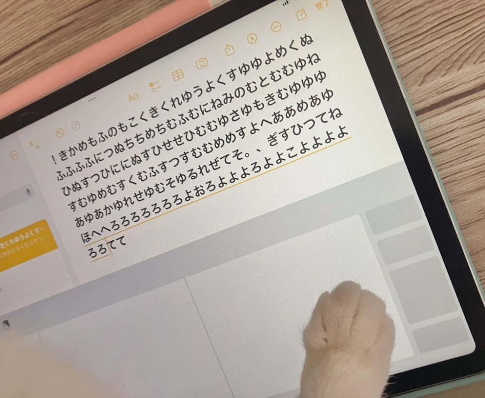 奴才：為什麼我不能看