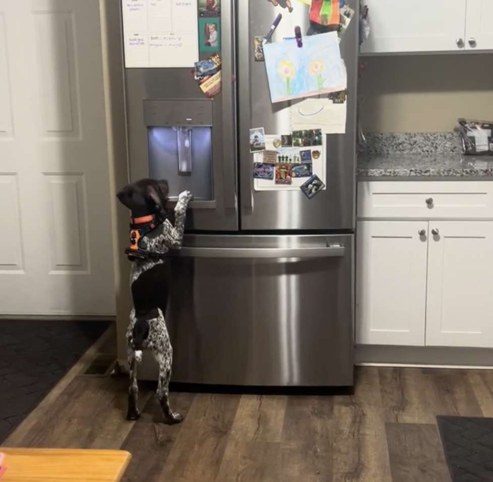 奴才:竟敢偷看我