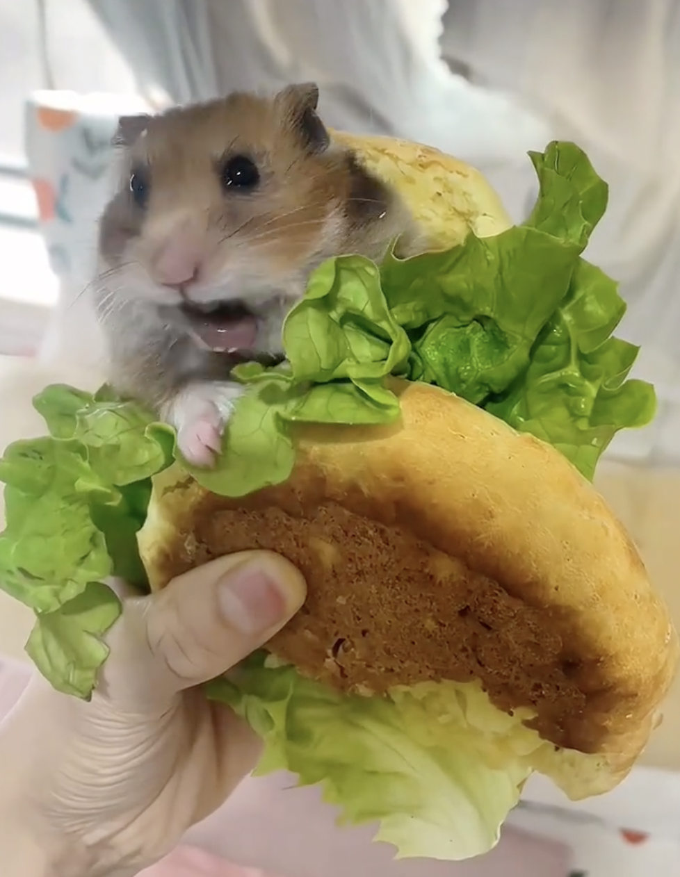 奴才：真的服了你啦