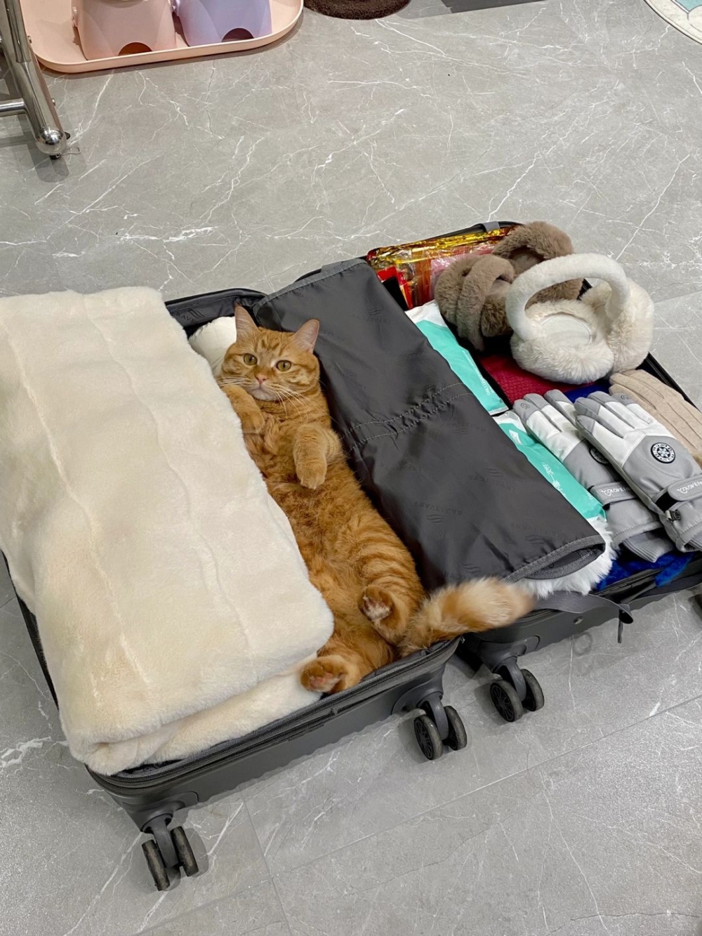 奴才：我們只分開幾天啦