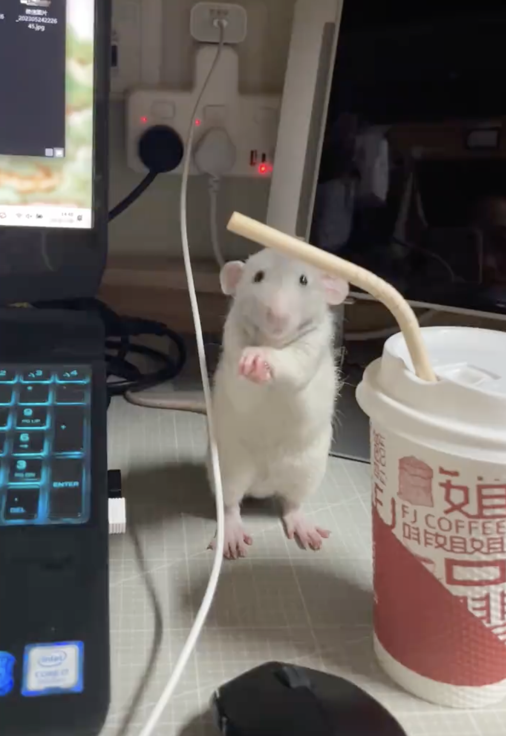 奴才：你確定？