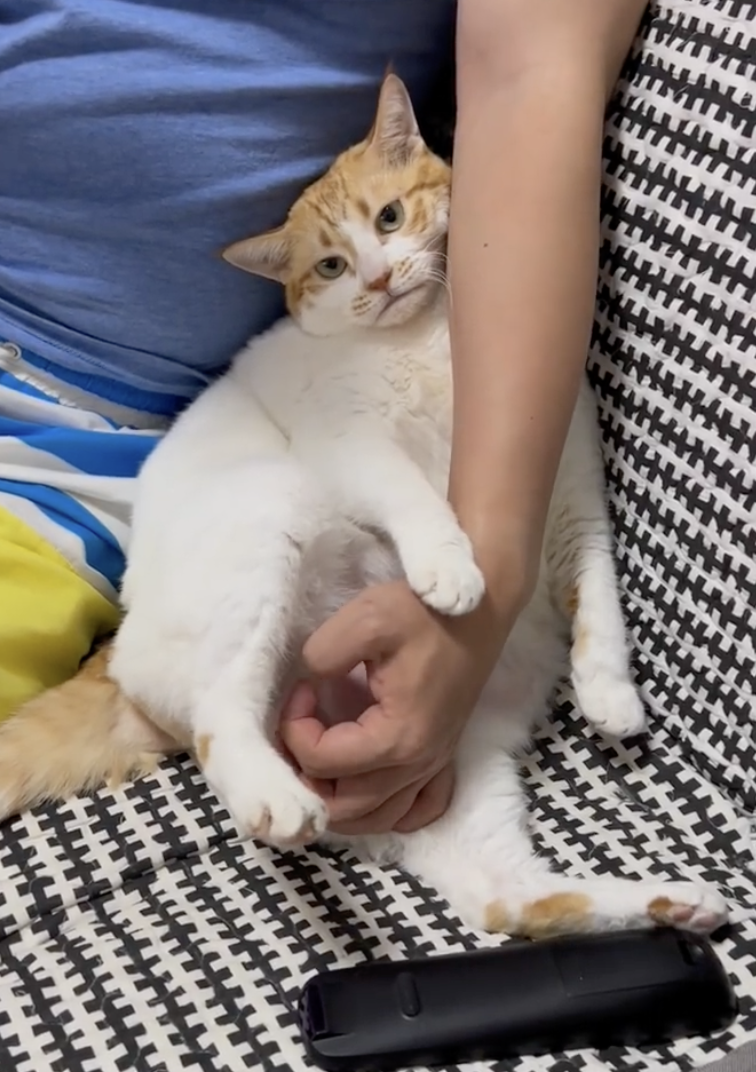 奴才：太暖心了啦