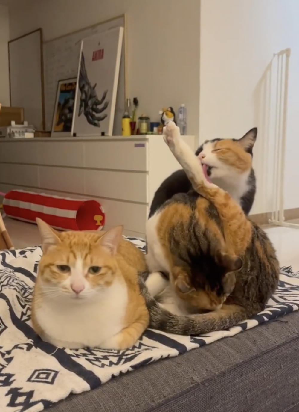 奴才:那為什麼你要伺候人家