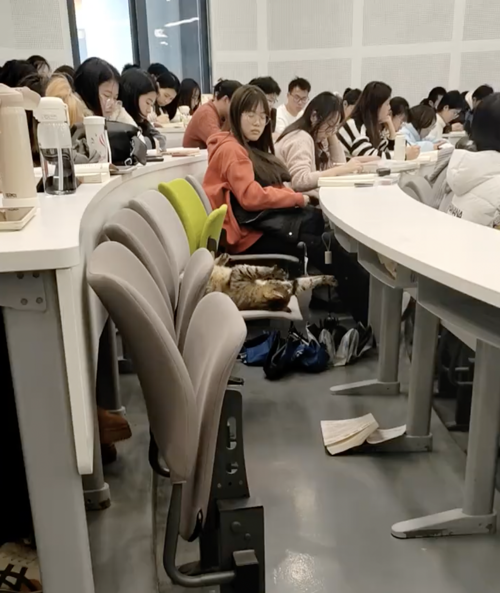 同學：你要不要換個地方睡？