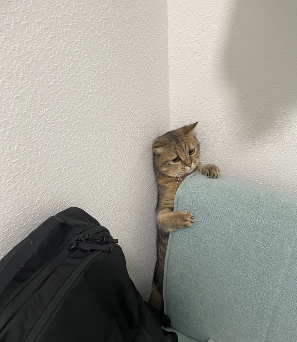 奴才：但你卡住了