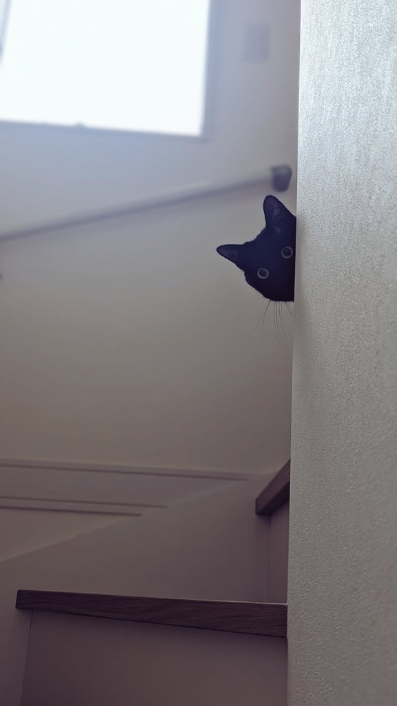 奴才:實話也不能說喔