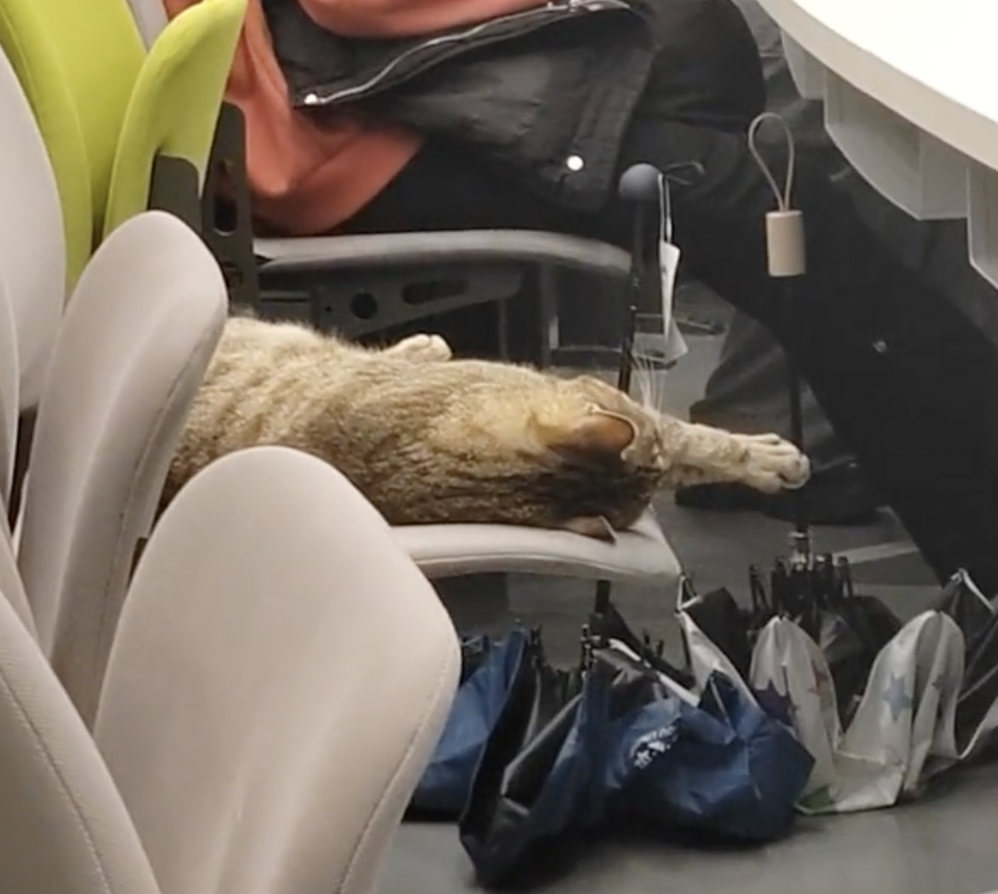 同學：你這樣我要通報你了啦