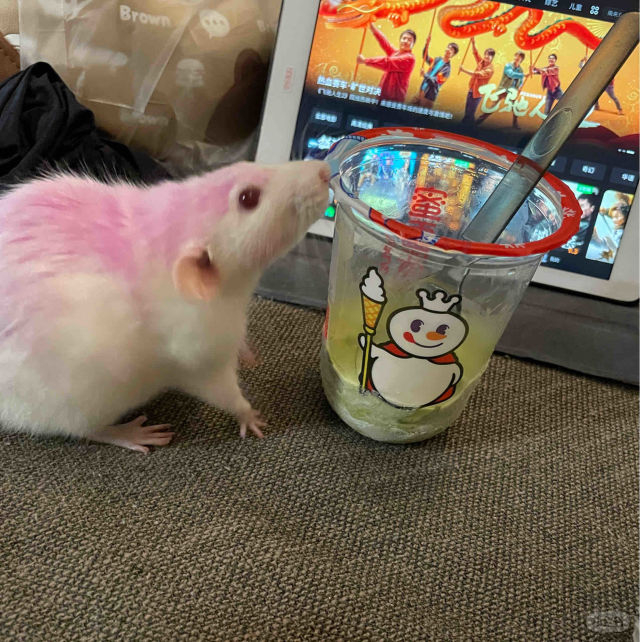 奴才：難道不是你的錯嗎？