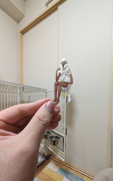 奴才：我覺得很有趣欸