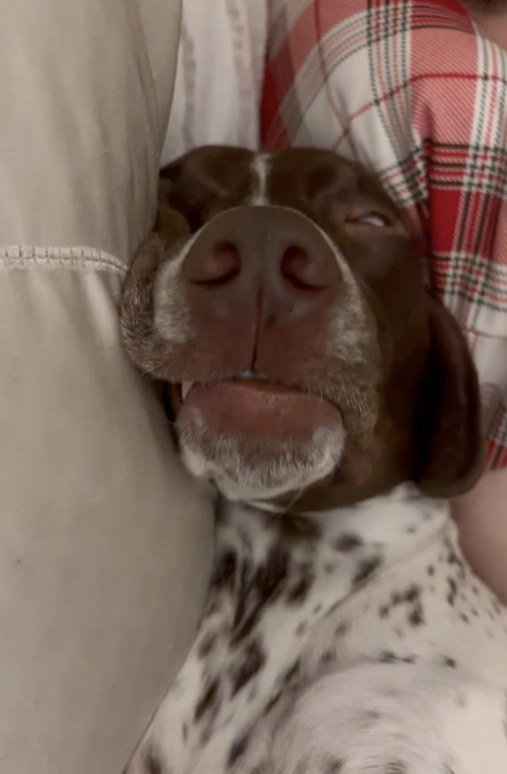 奴才：不知道啊