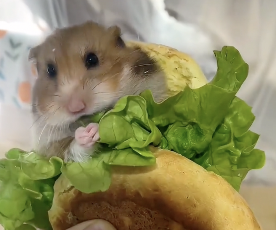 奴才：你就只想著吃啊