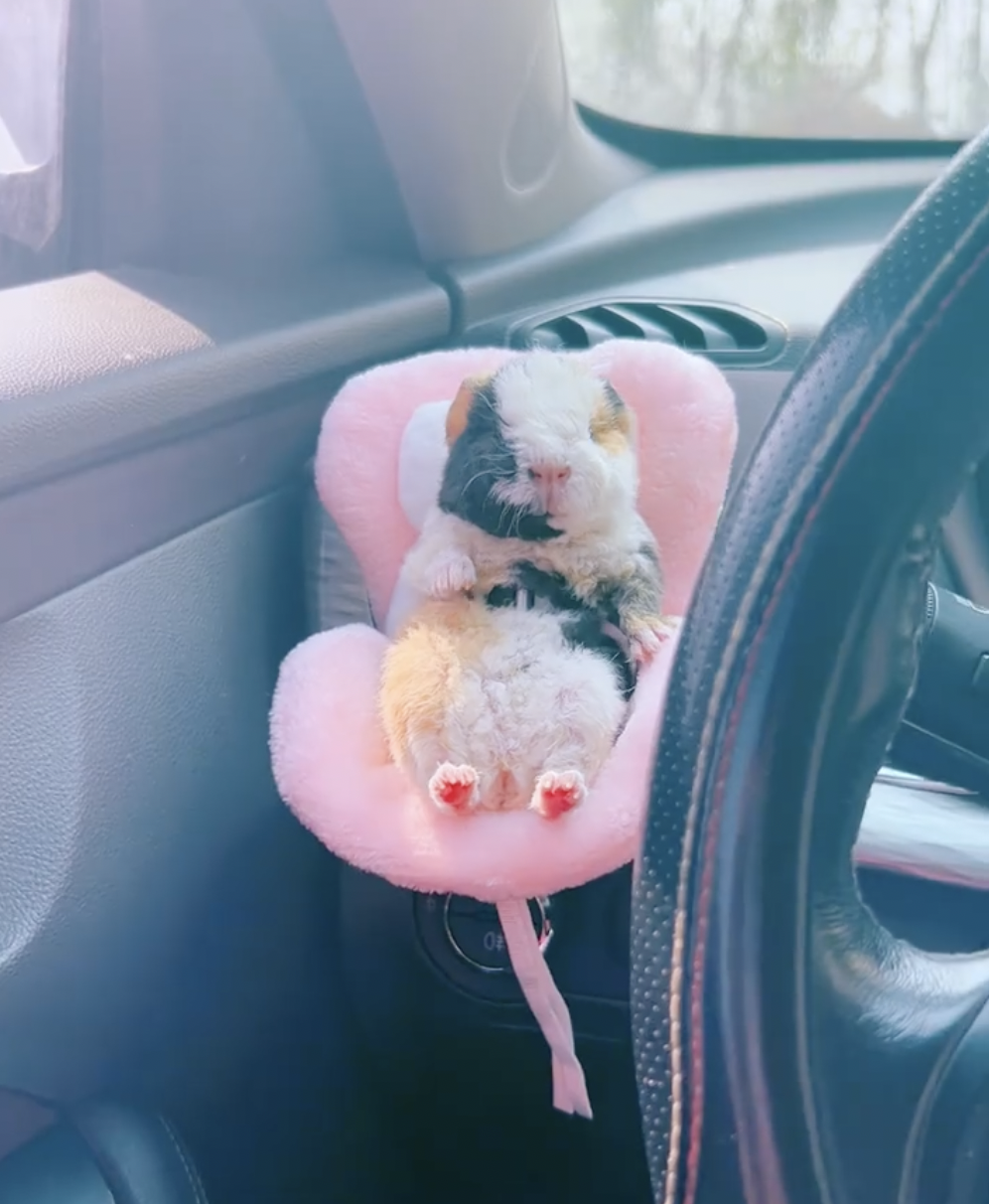 奴才：有待觀察啦