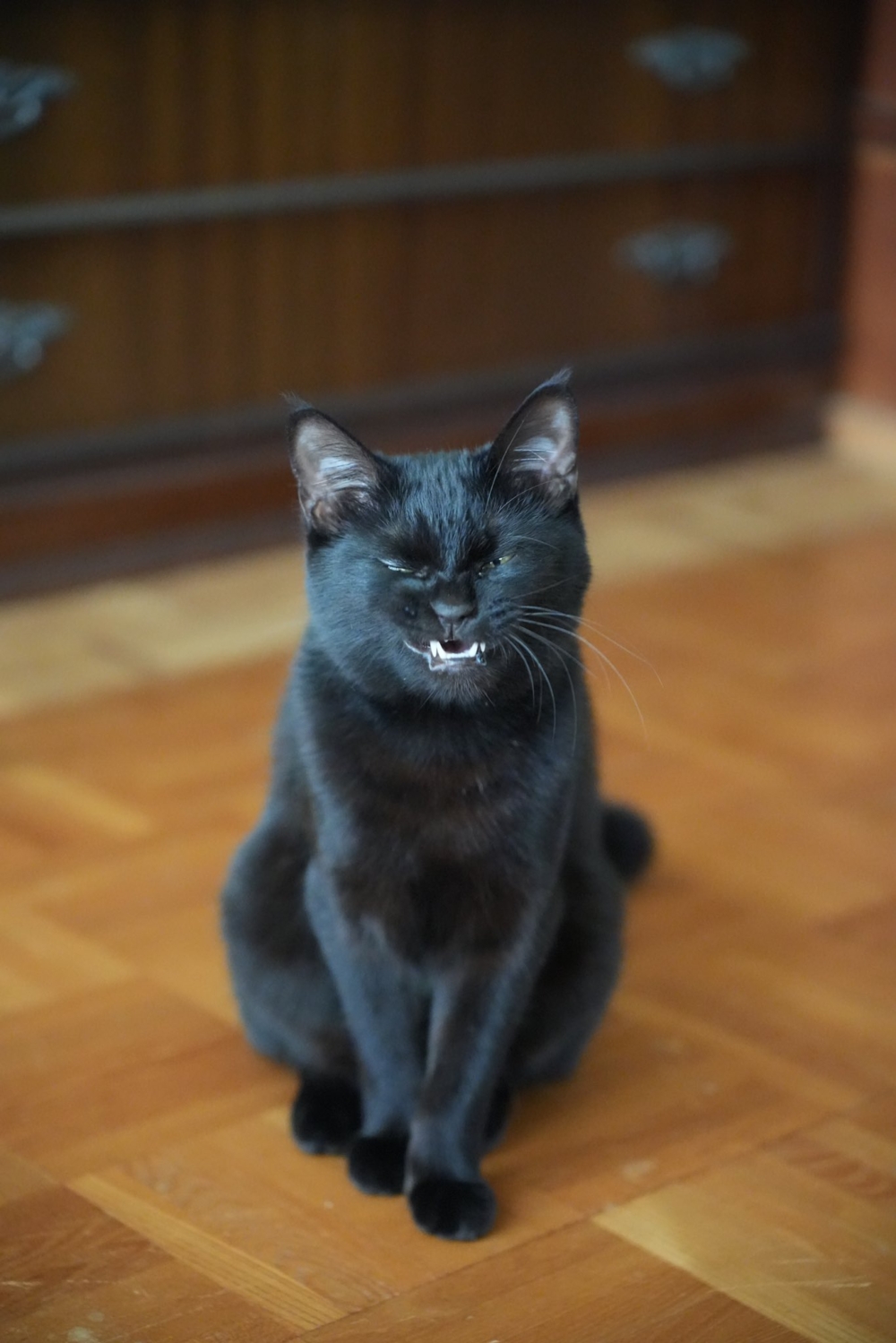 奴才：這樣看你挺霸氣的