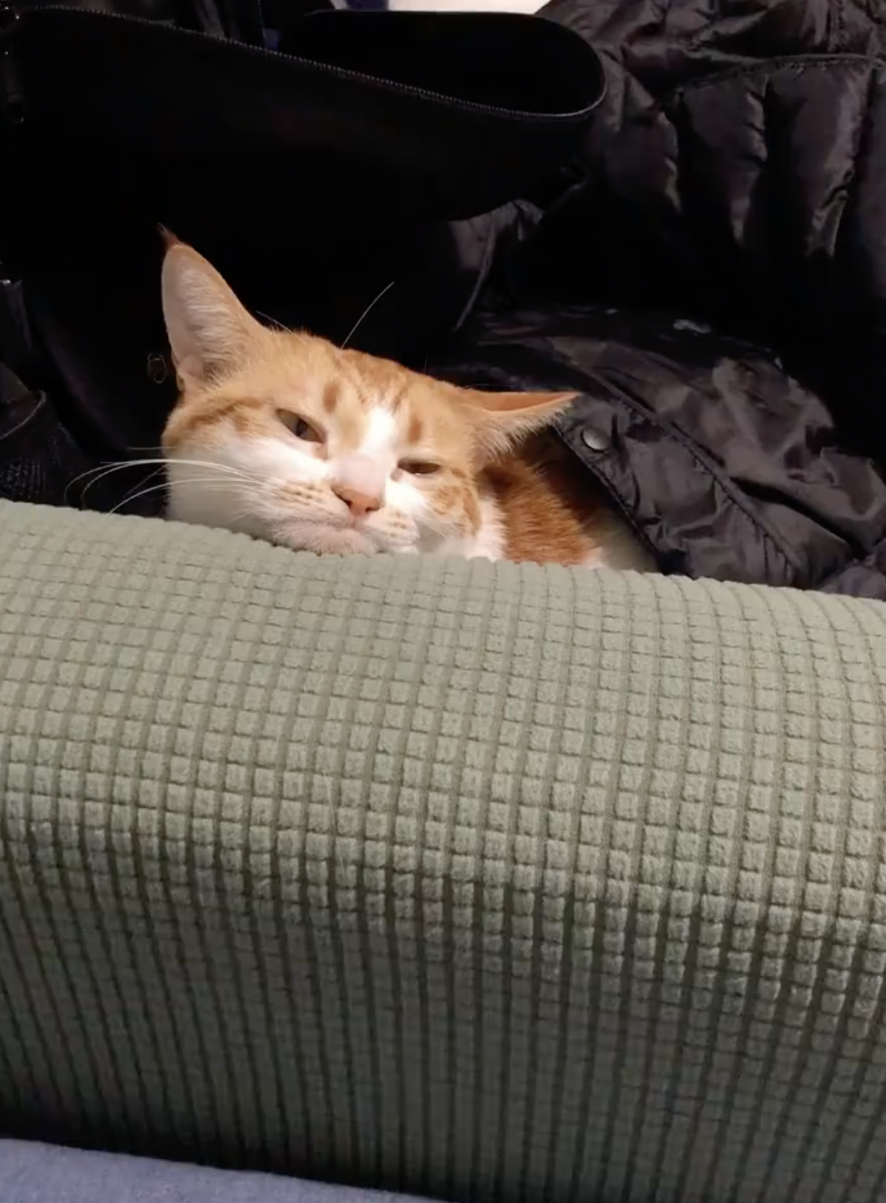 奴才：有你真好