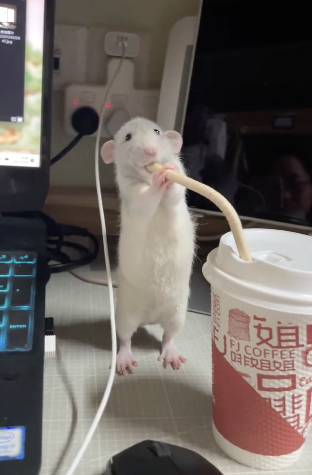 奴才：還怪有禮貌啊