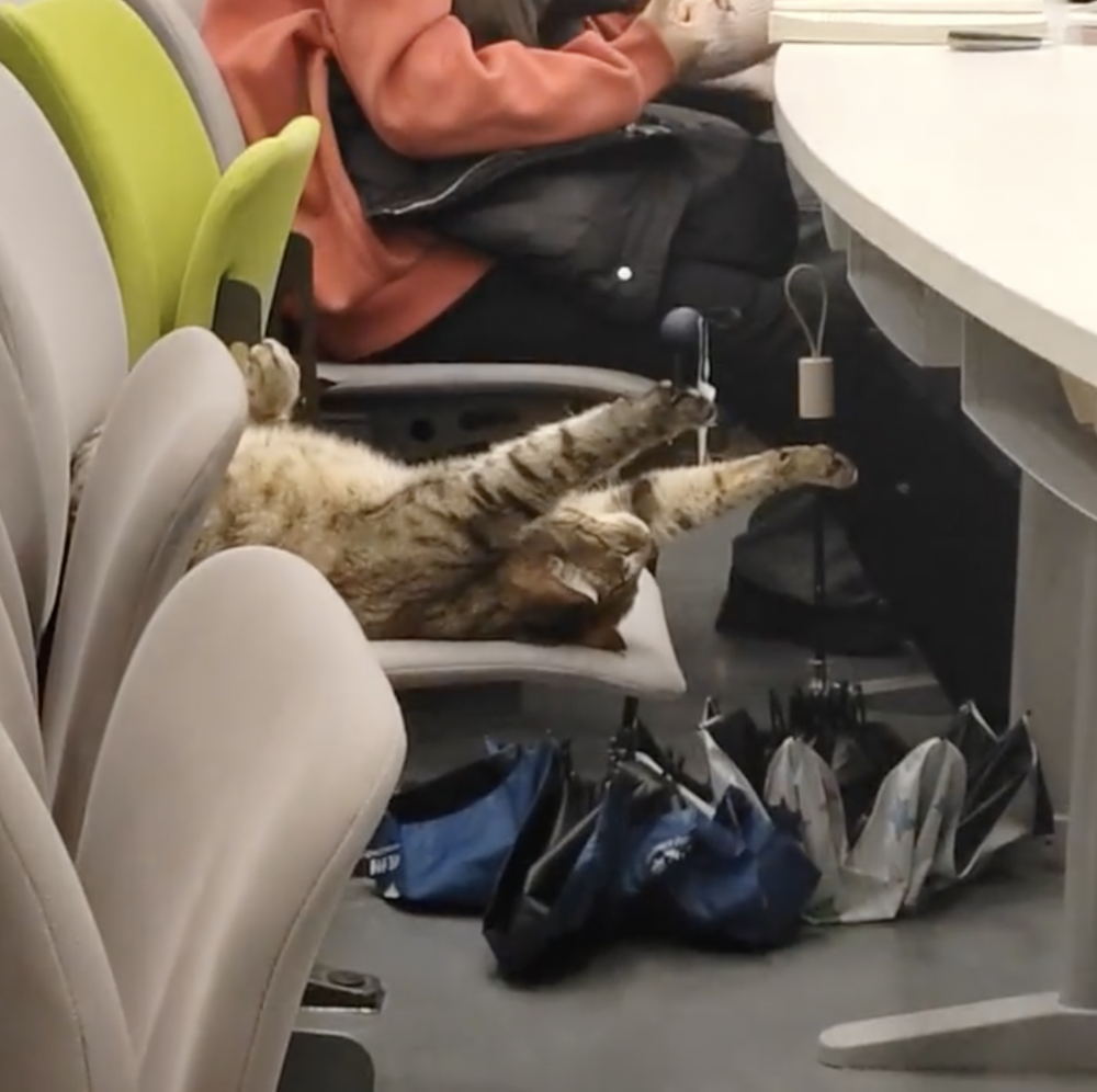 同學：小心老師把你趕出去