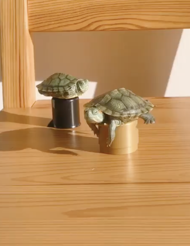 奴才：這才叫會享受