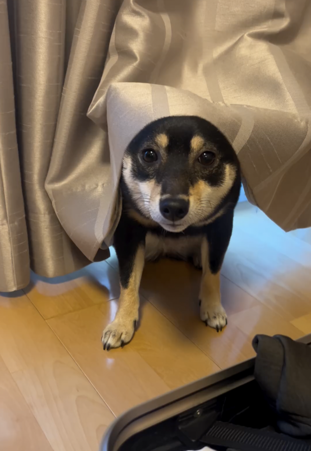 奴才:對啊