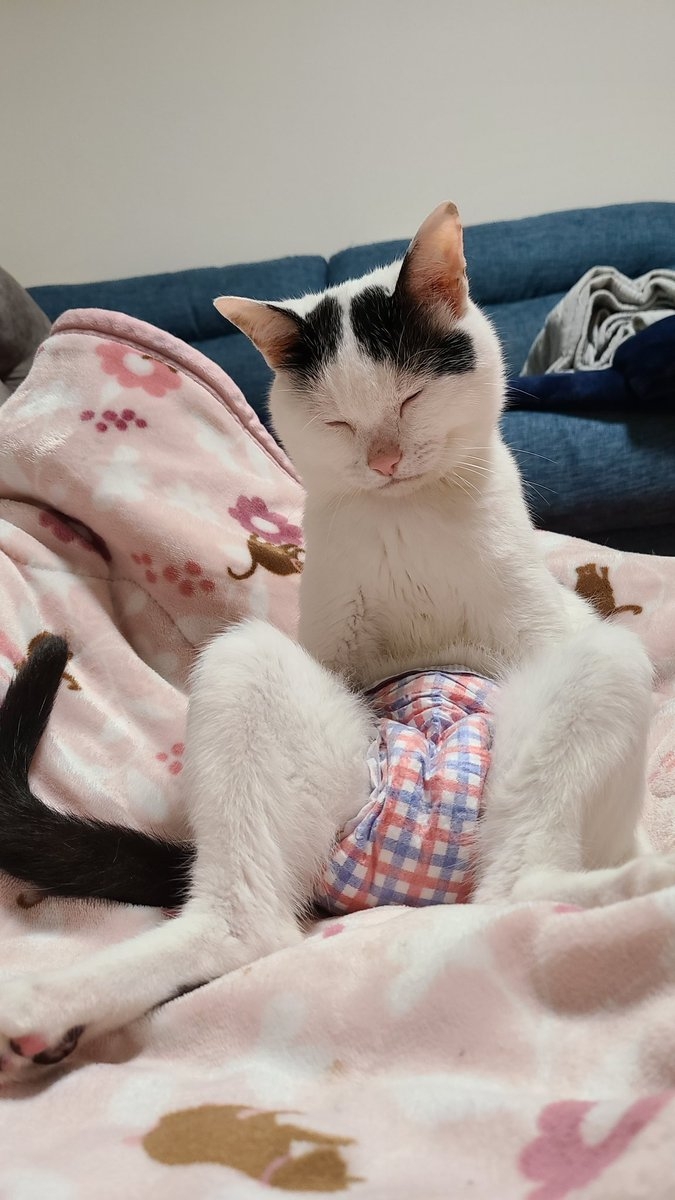 奴才：真是乖寶寶