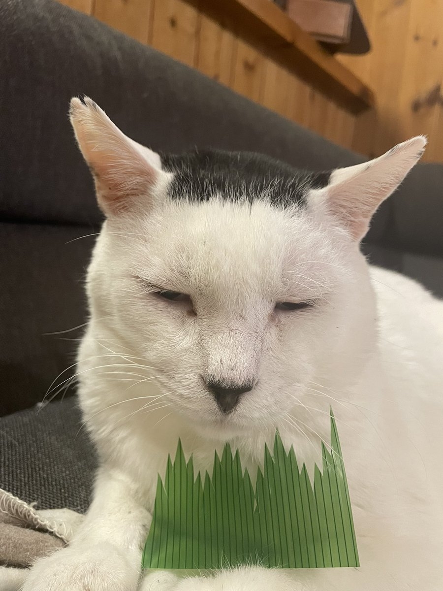 怎麼每天臉那麼臭啦～