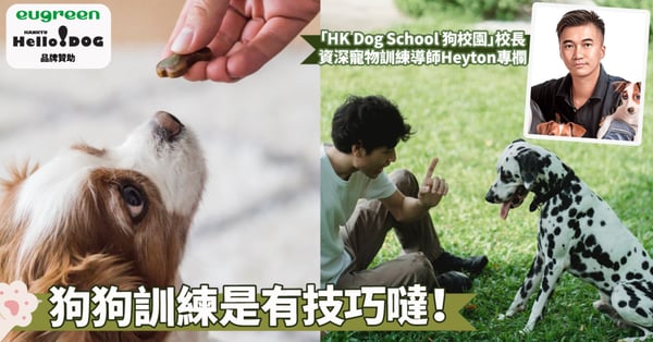 【超級食物品牌Eugreen 贊助】美味誘惑是狗狗訓練的秘密武器喔!7大重點揭示食物獎勵的神奇力量~