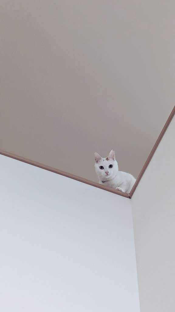 奴才:別再狡辯囉