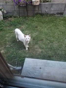 奴才：那是必須的啊