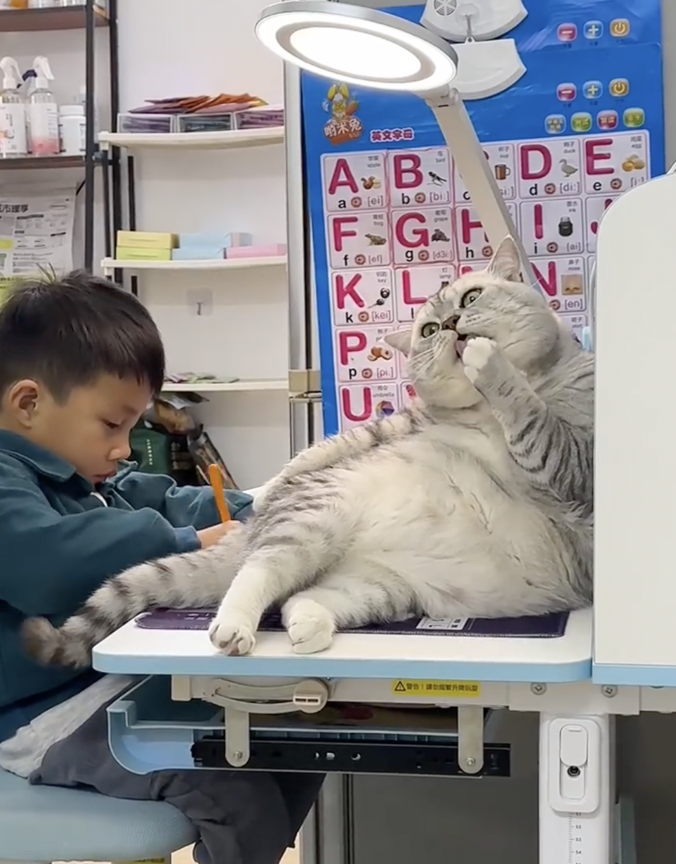 奴才：不怕嘴巴有腳氣喔