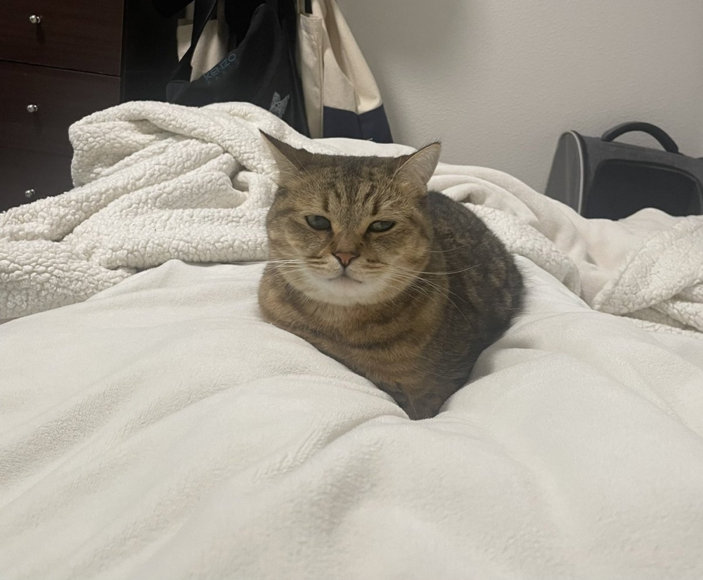 奴才：這樣不行啦