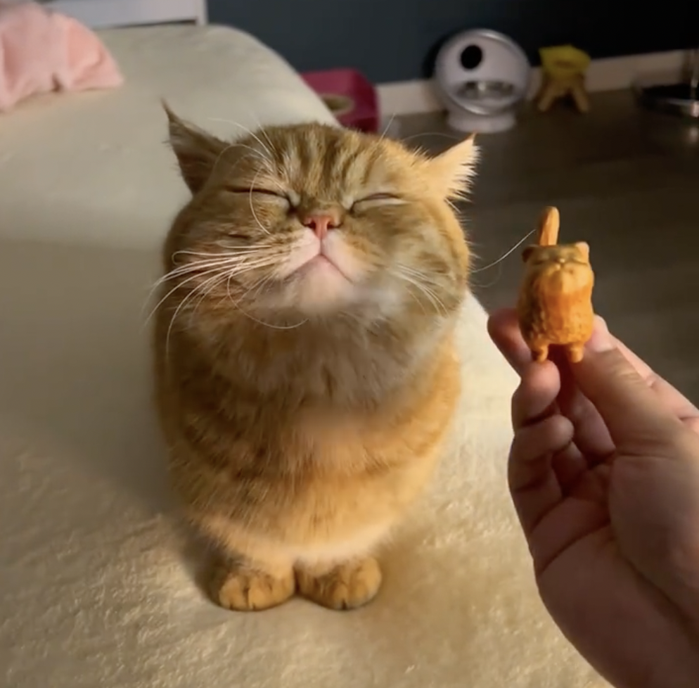 奴才：真的很像對不對