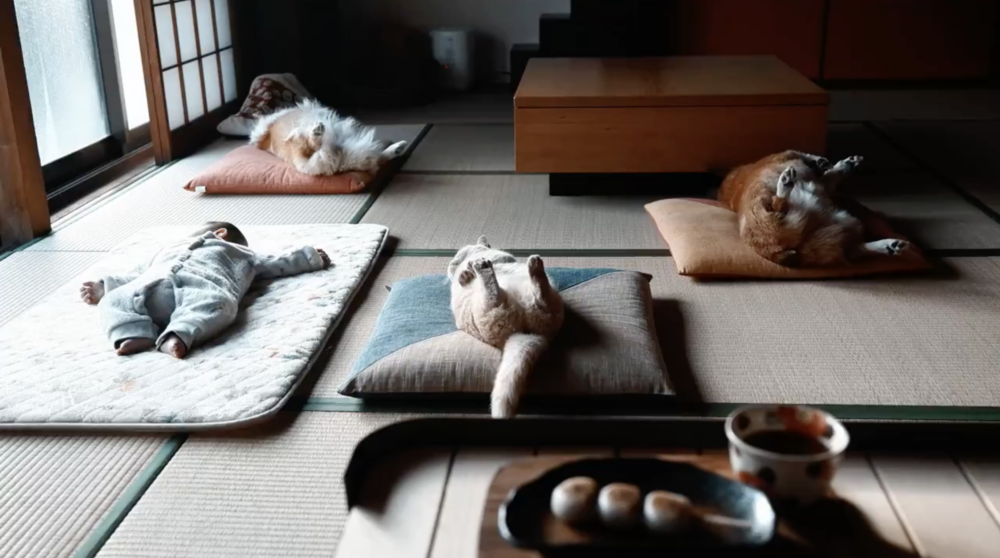 奴才：現在也養成了準時睡覺啊