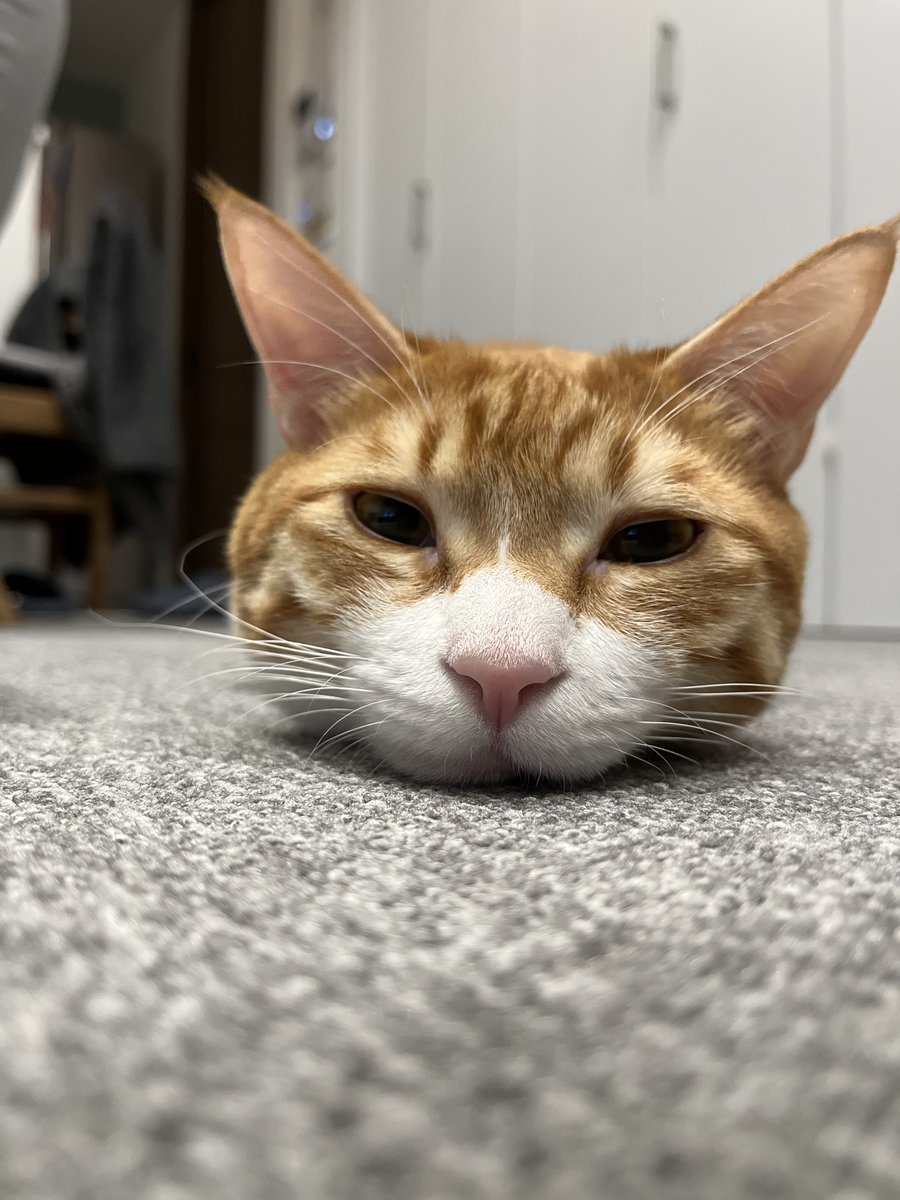 奴才：只是看起來就很像啊