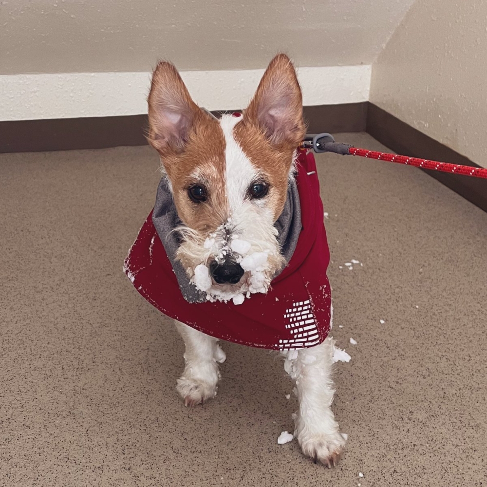 奴才：也沒錯啦