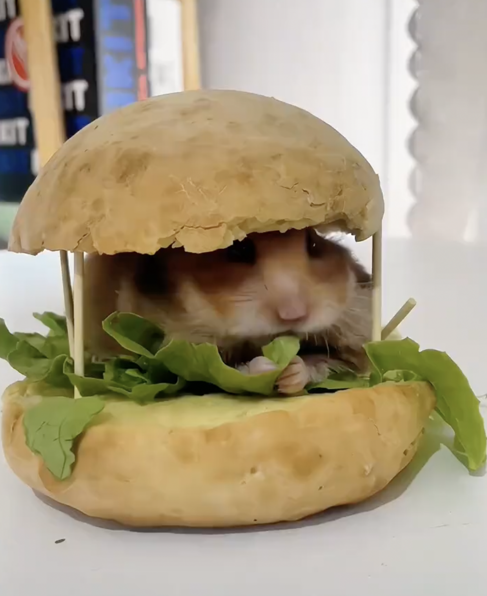 奴才：我沒有這種奇怪的癖好啦