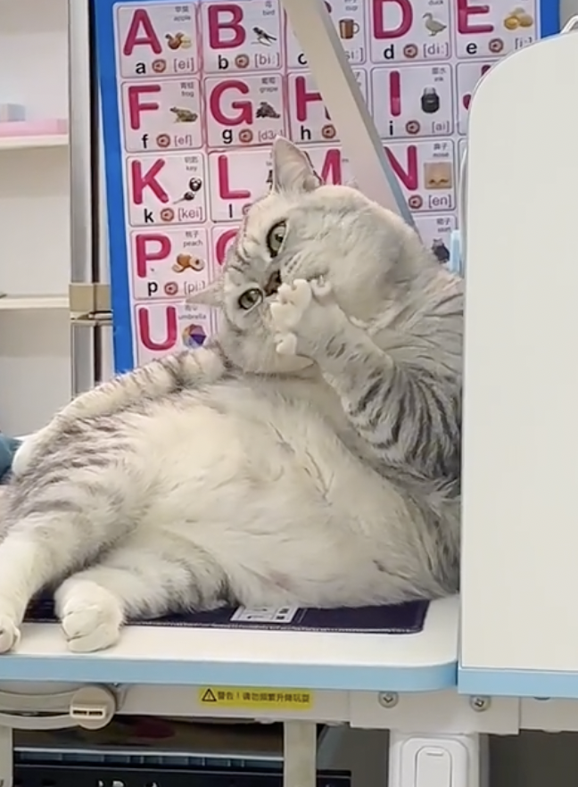 奴才：你不也一樣