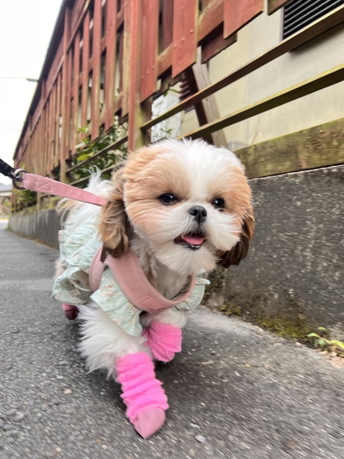 奴才：你也沒有什麼重要的事情吧