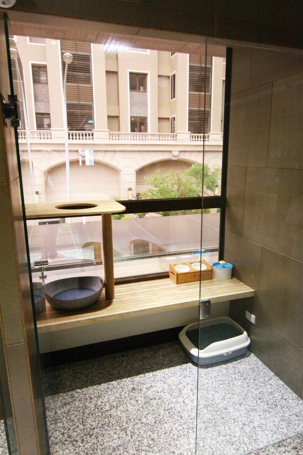 觀景大空間VIP房，可容納4隻同一個家庭貓貓。