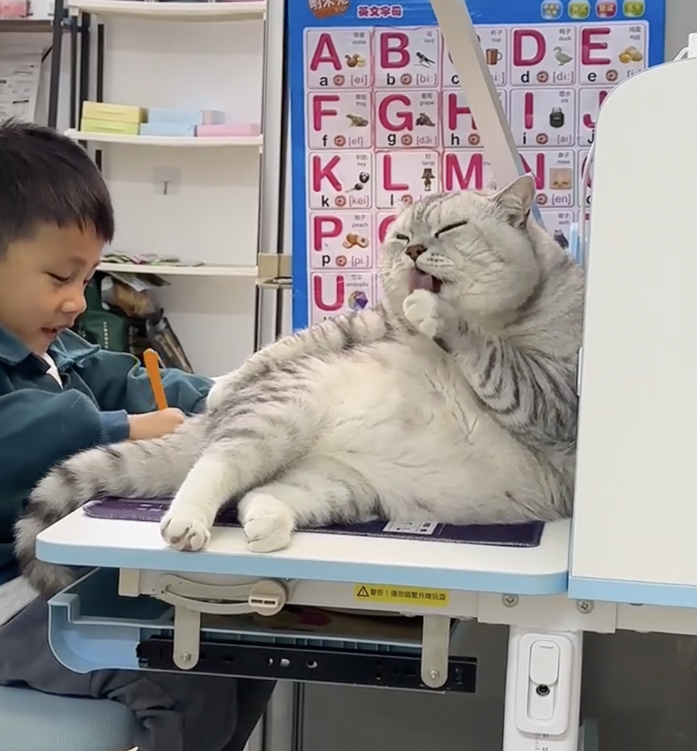 奴才：你在舔腳欸