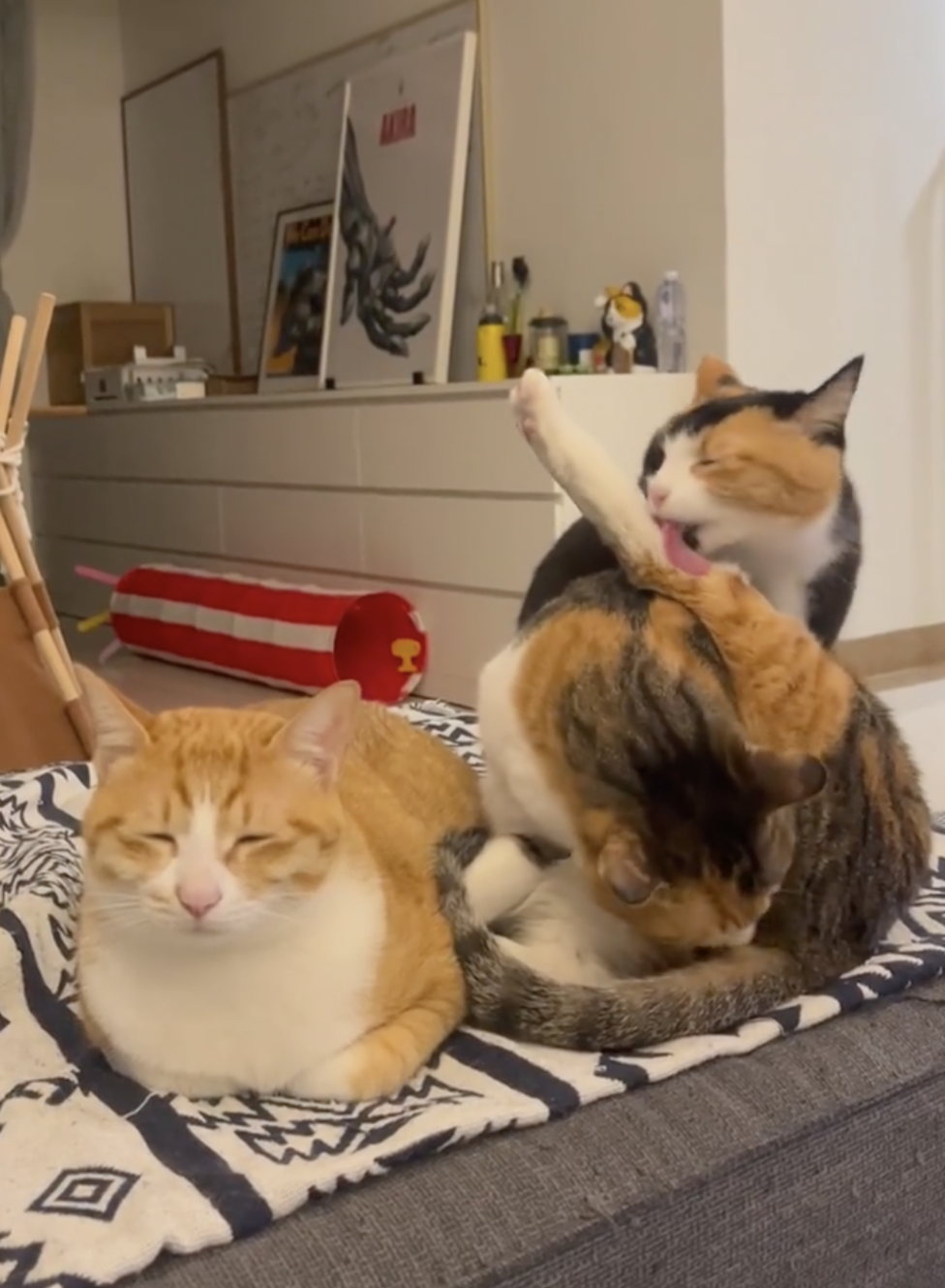 奴才:說來聽聽嘛