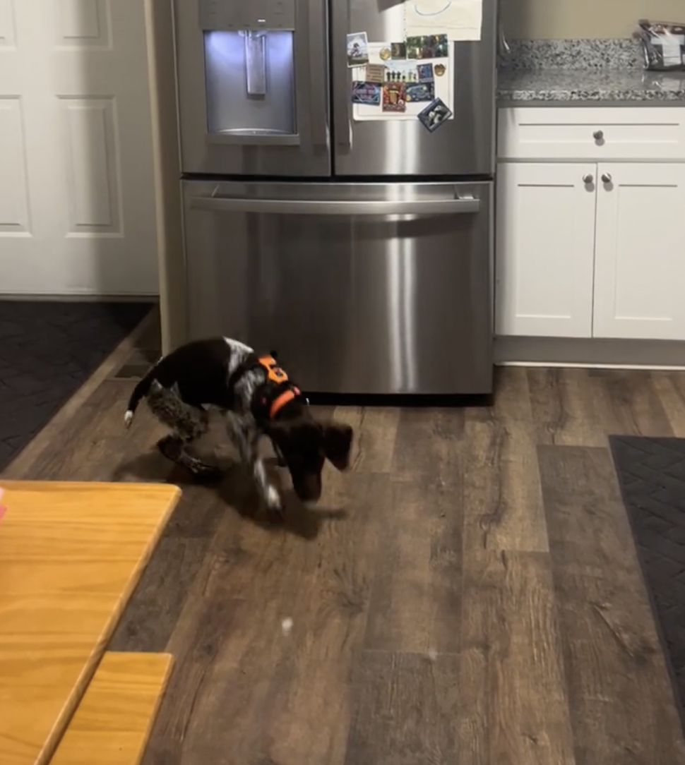 奴才:額...確實不需要