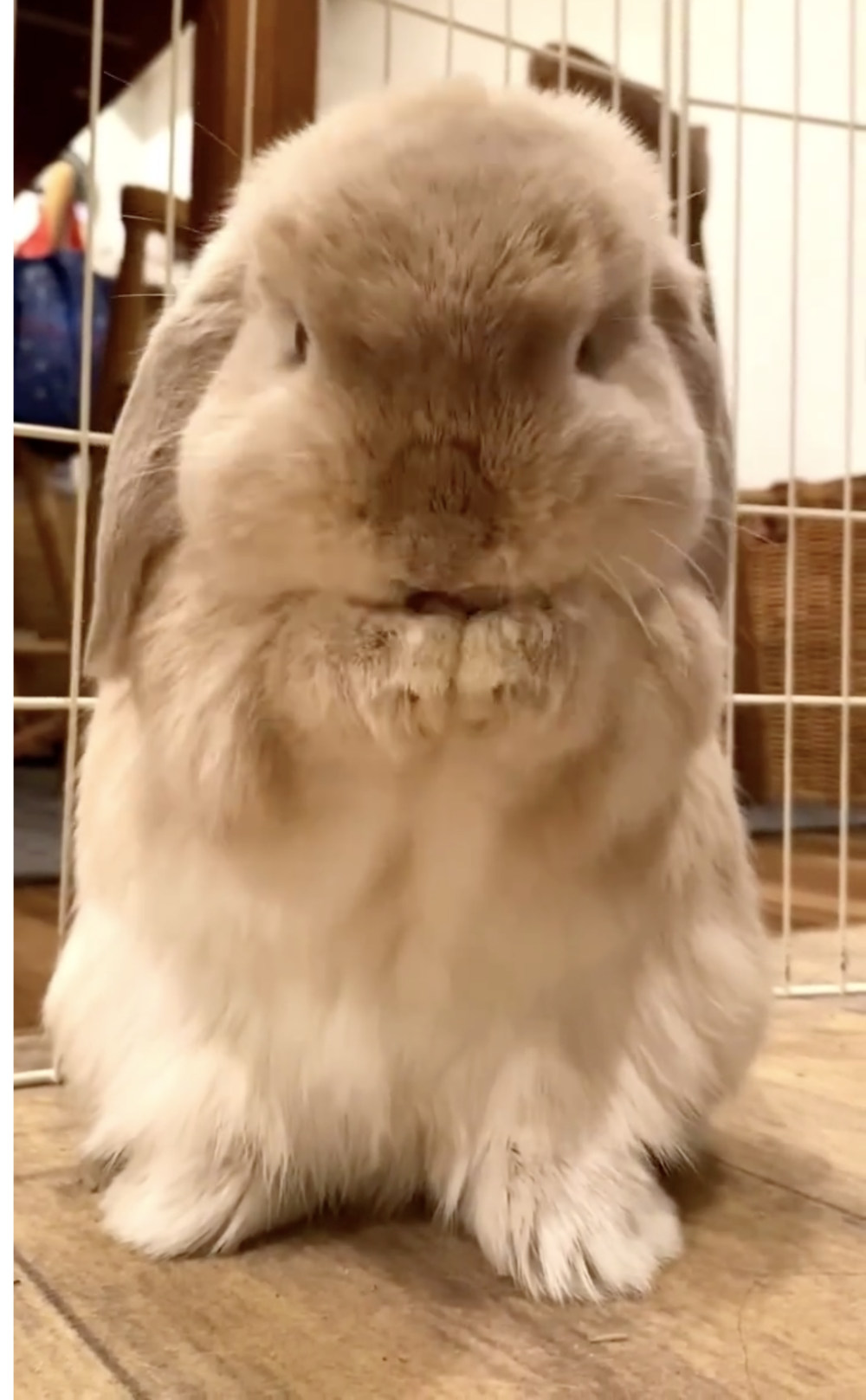 奴才：你慢慢清潔吧