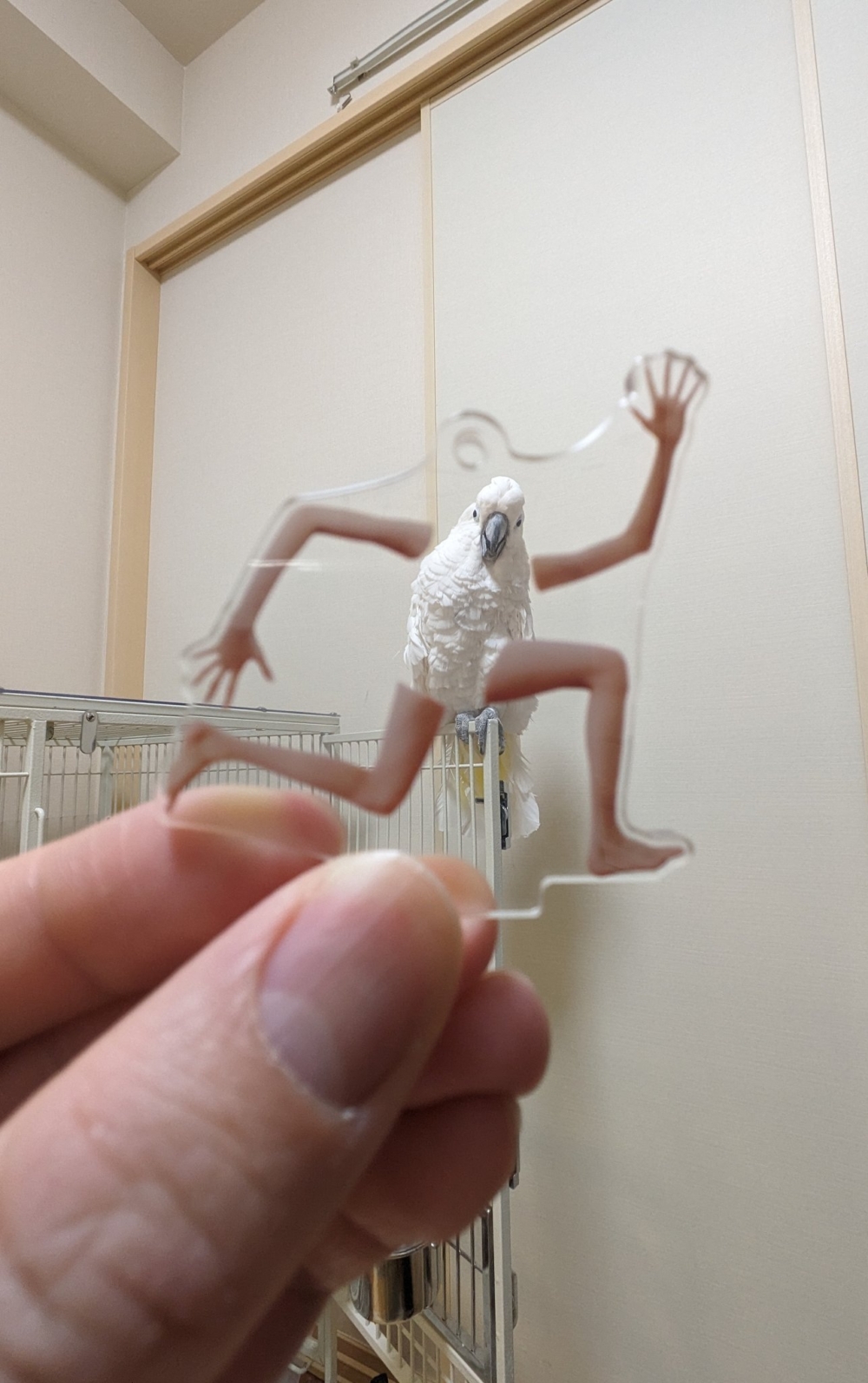 奴才：娛樂一下囉