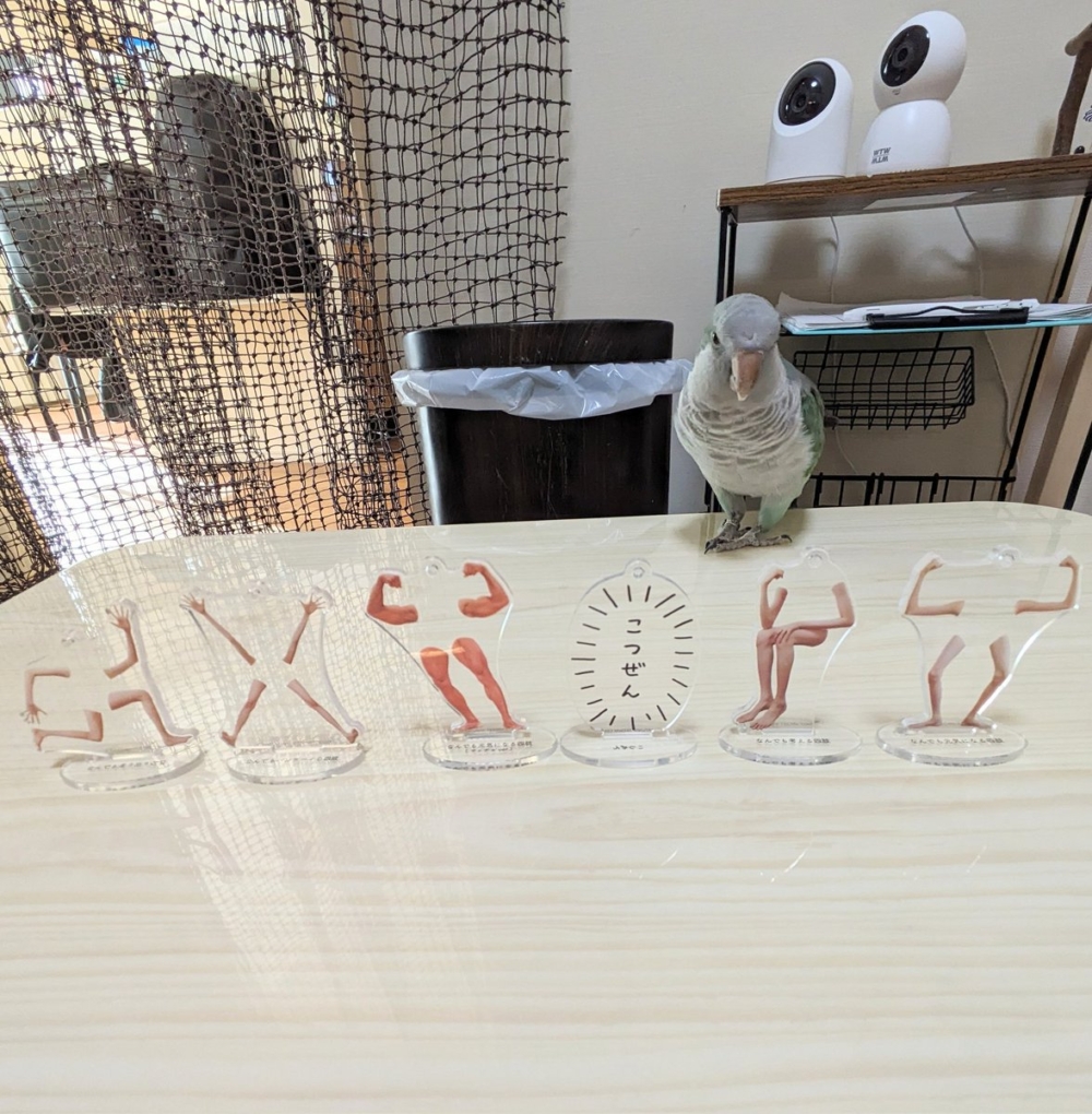 奴才：別那麼委屈啦