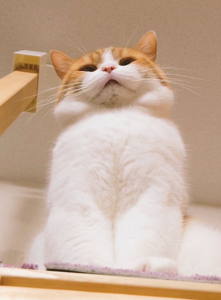 奴才：你別多想啊