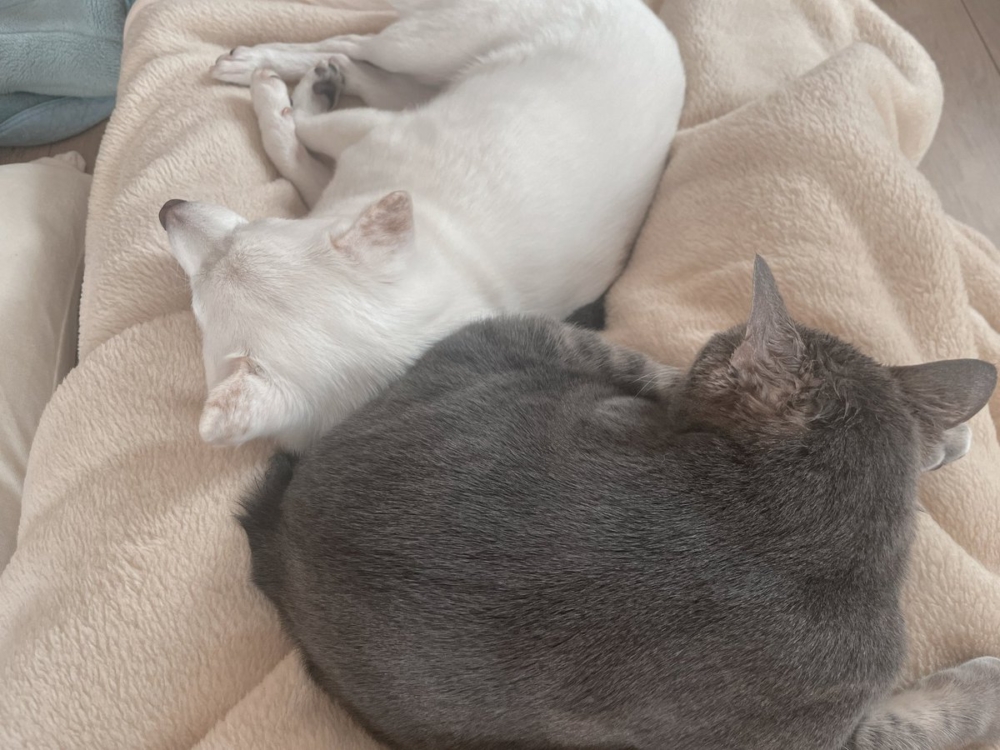 喵：人家不介意啦