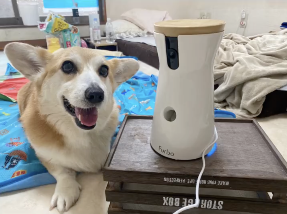 奴才：你克制一下吧